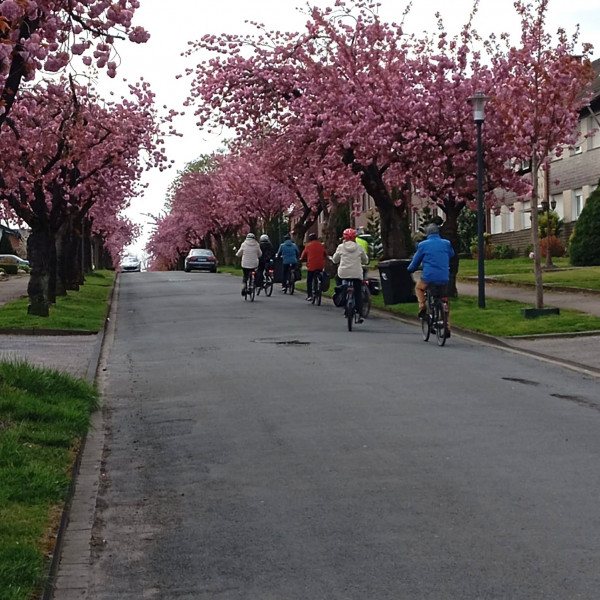 Kirschblüten Radtour 2026